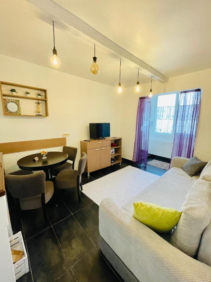 Perfect Place To Stay Self Check In-24H-Netflix-Wifi Resita Zewnętrze zdjęcie